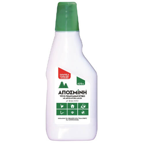 ΑΠΟΣΜΙΝΗ ΓΝΗΣΙΑ ΚΑΘΑΡΙΣΤΙΚΟ ΧΩΡΟΥ 425ml