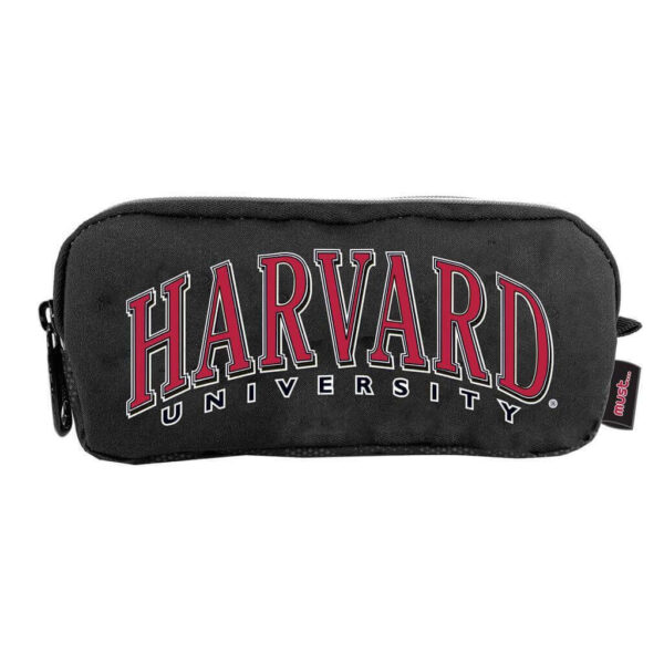 ΣΧΟΛΙΚΗ ΚΑΣΕΤΙΝΑ ΒΑΡΕΛΑΚΙ HARVARD UNIVERSITY MUST 2 ΘΗΚΕΣ